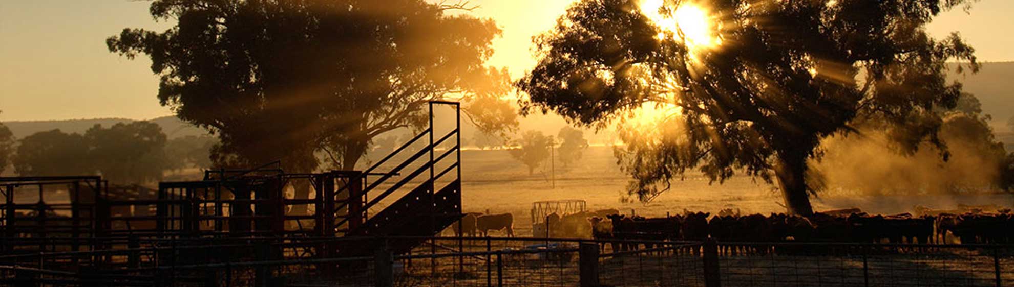 Ausure Tamworth – Insurance Brokers Tamworth